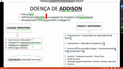 Doença de Addison – Wikipédia, a enciclopédia livre